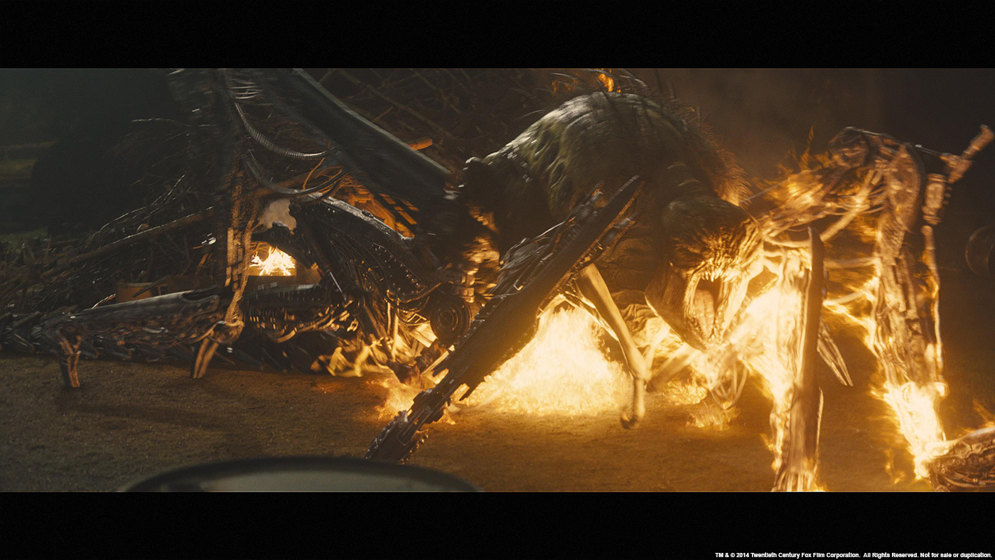 THE MAZE RUNNER: Sue Rowe - VFX Supervisor - Method Studios - The