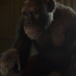 Chimpfall_Bingle_TheMill_01