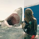 TheShallows_ILP_VFX