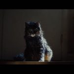 PetSematary_trailer2