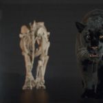 Jaguar_MPC_MOF_VFX