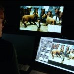 TheLionKing_BBCclick_MOF_VFX