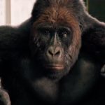 Dolittle_trailer