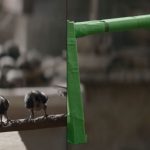 Pinocchio_OneOfUs_VFX