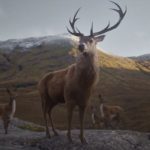 Glenfiddichs_WhereNext_TheMill_VFX