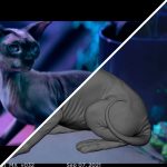 Nightbooks_Netflix_MOF_VFX