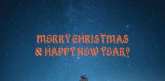 Merry Christmas & Happy New Year!