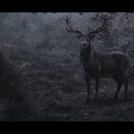 TheSerpentQueen_MPC_ITW_03