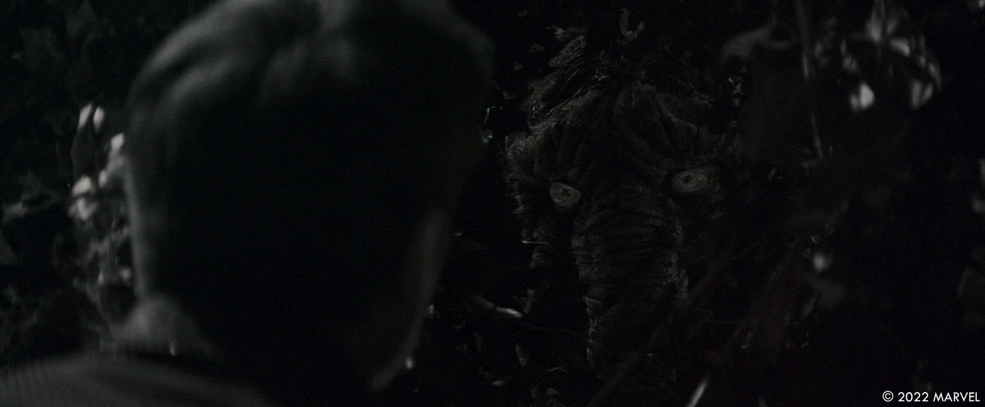 Werewolf by Night: Joe Farrell – Production VFX Supervisor - The