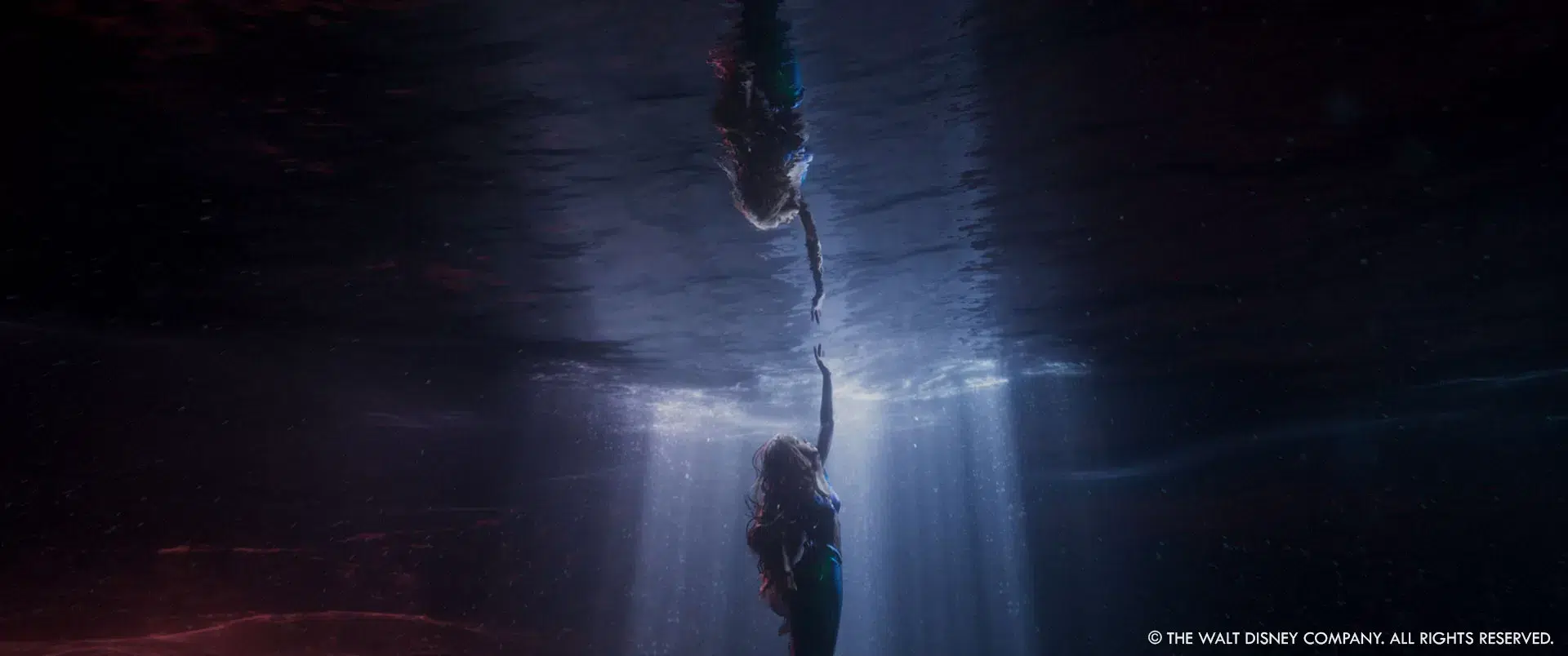 The Little Mermaid 2023: The Little Mermaid (2023): Cast, characters and all you may want to know - The Economic Times