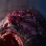 LVD_RISE_ITW_09B