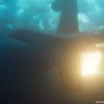 MissionImpossible7_beloFX_ITW_03A
