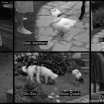 PoorThings_UnionVFX_ITW_07