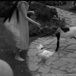 PoorThings_UnionVFX_ITW_08