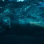 Nyad_DNEG_ITW_14A