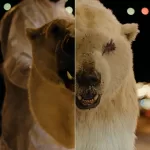 TrueDetective_S4_Cinesite_VFX