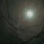 MadameWeb_MikeBrazelton_ITW_03B
