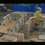 Paddington3_Alexis_ITW