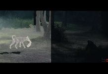 Beef Season 2: Base FX Breaks Down Its Visual Effects