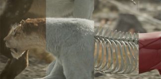 Framestore Recreates the Frozen World of Prehistoric Planet: Ice Age
